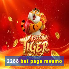 2288 bet paga mesmo